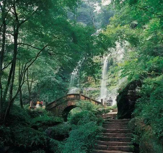 爱旅行的芭比